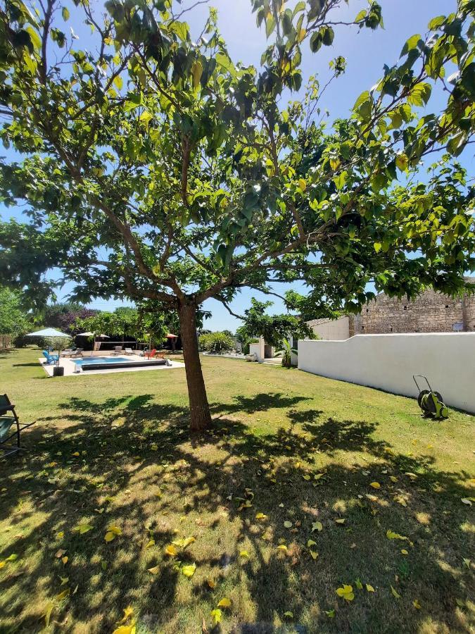 Chambres D'Hote Maeva Balanzac Exterior foto